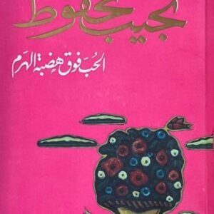 الحب فوق هضبة الهرم لنجيب محفوظ