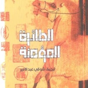 الطائرة المؤمنة يوجيان (اصلي)